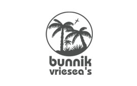 Bunnik Vriesea